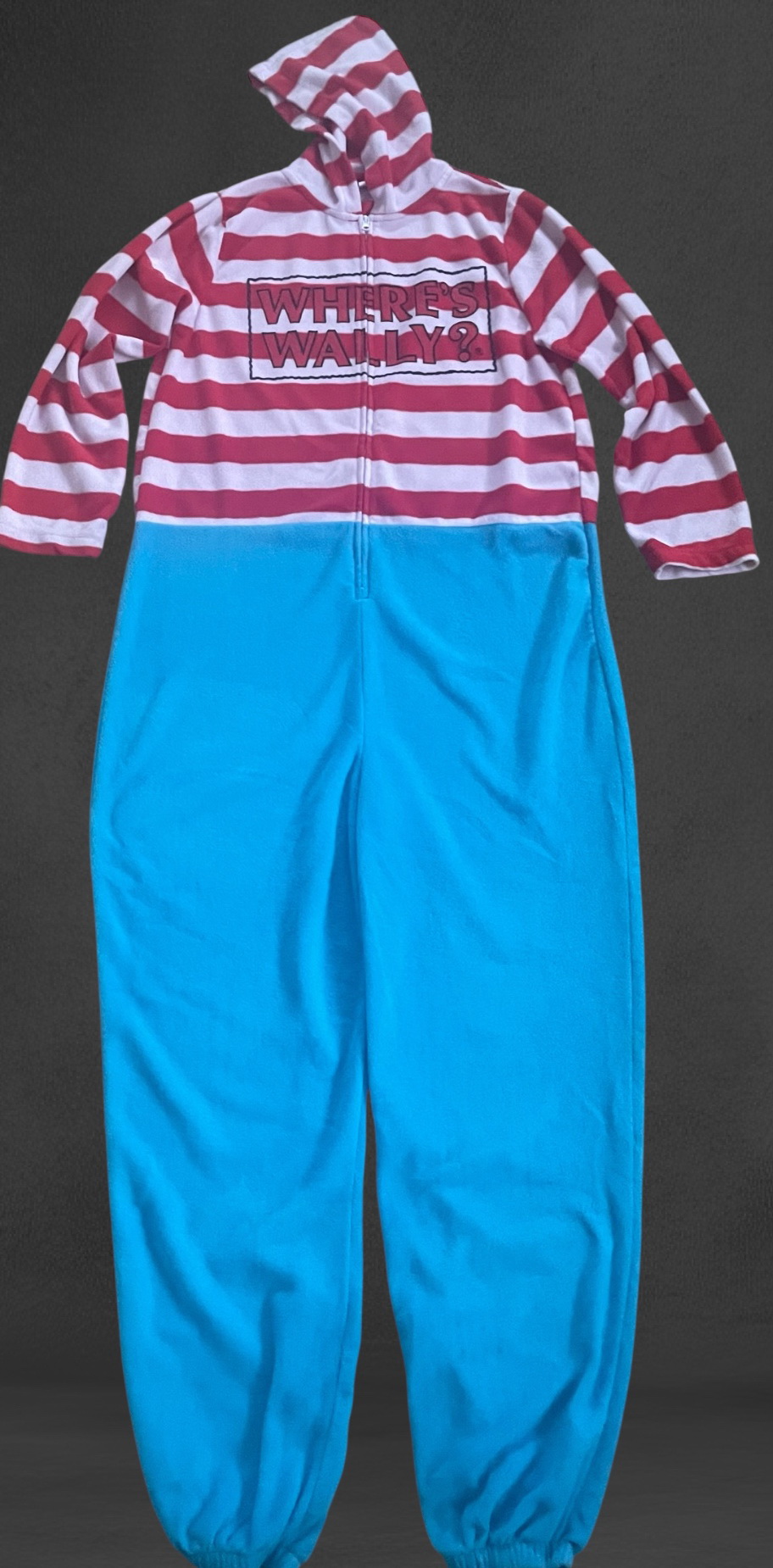 flísový overal WHERE´S  WALLY? vel. L