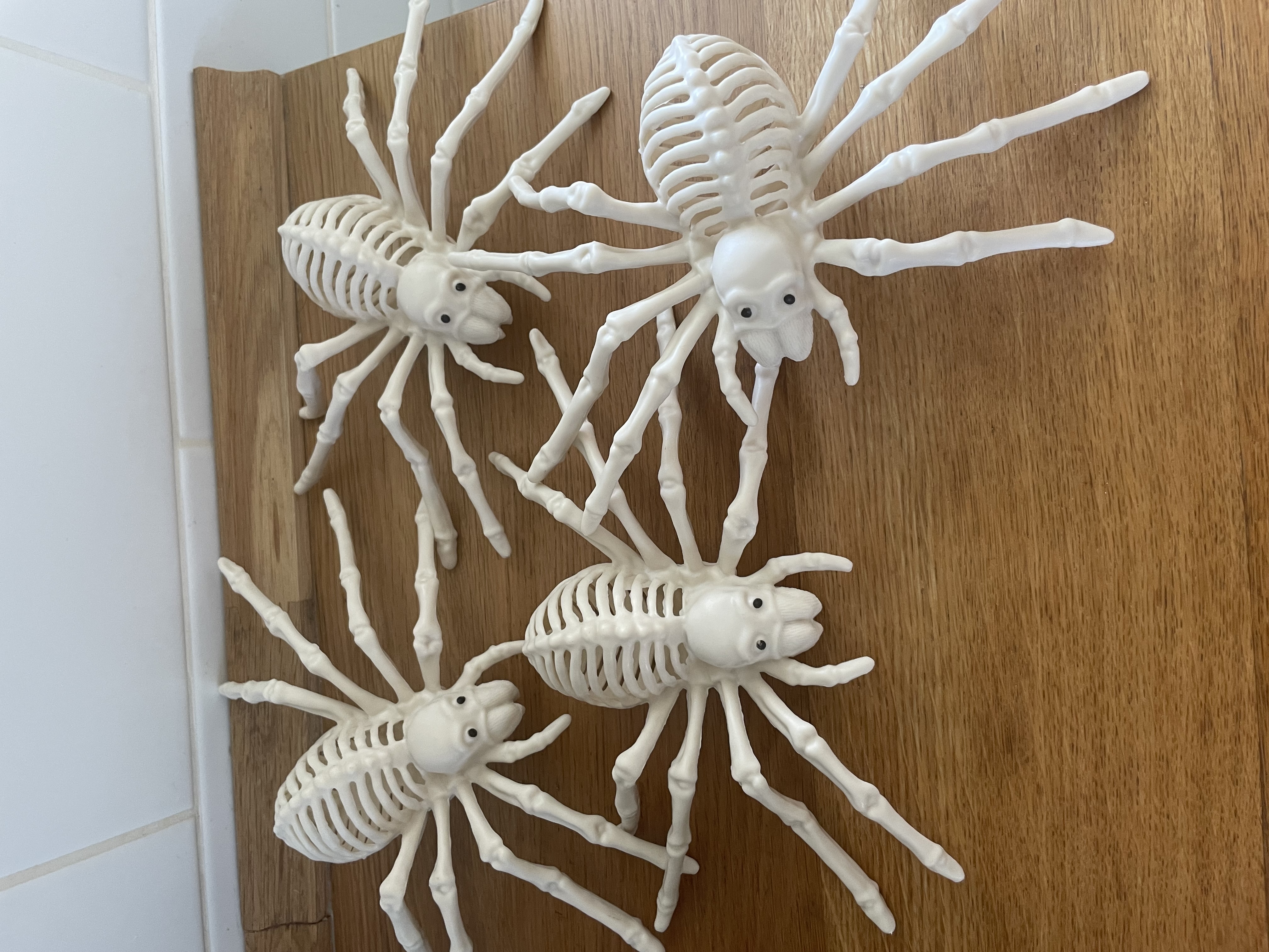 halloween doplněk SKELET pavouka24cm