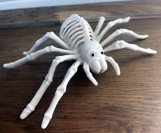 halloween doplněk SKELET pavouka24cm